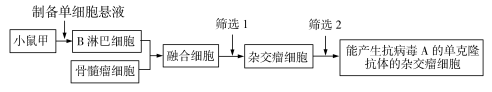 2020全国1卷高考理综试题