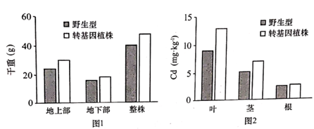 2021年高考生物真题及参考答案（河北卷）