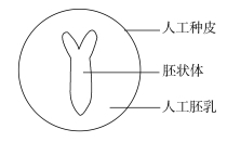 2020全国理科综合能力测试题