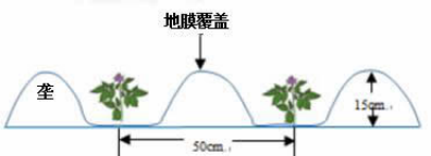 2020吉林省高三文综模拟考试试题（含答案）