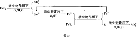 2016年高考冲刺理综模拟试题